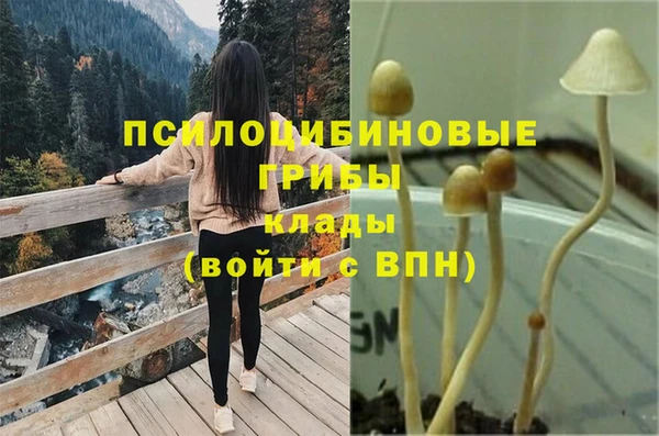 кокс Арсеньев